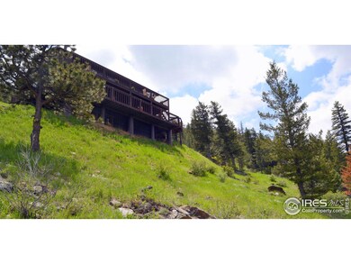 Native Grasses and Evergreen Trees Everywhere