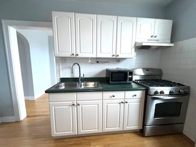 5852 W Higgins Ave unit 3B, Chicago, IL 60630 - photo 5