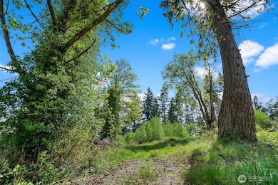 14308 Olalla Crest Ln SE, Olalla, WA 98359 - photo 7