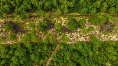 9-web-or-mls-Long Branch Farms Aerial-9