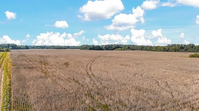 0 Audrain Road 424, Rush Hill, MO 65265 - photo 2