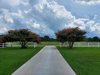 60 Jay Shambley Rd, Pittsboro, NC 27312 - photo 3