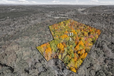 29 Co Rd, Riceville, TN 37370 - photo 3