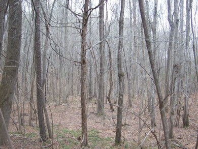 00 Lewis Rd, Oxford, NC 27565 - photo 2