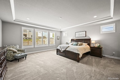 5411 Edenborn Way, Castle Rock, CO 80104 - photo 5