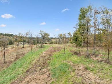 0 Coop Rd unit RTC3042210, Bell Buckle, TN 37020 - photo 5