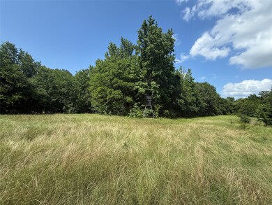 11591 Farm Road 269 S, Pickton, TX 75471 - photo 4