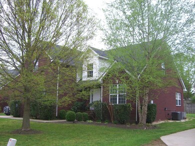 Treed lot