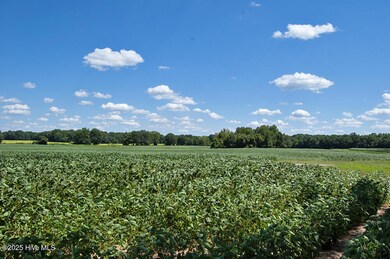 DSC_0791