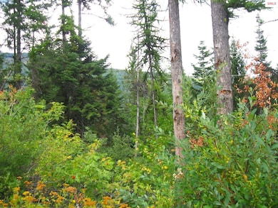 10 Parallel Run, Sandpoint, ID 83864 - photo 5