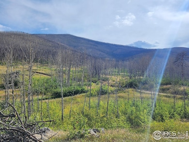 0 Crystal Mountain Rd unit 1047926, Bellvue, CO 80512 - photo 2