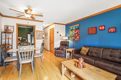 18-web-or-mls-DSC07446