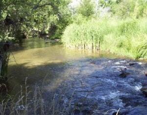 pic 3 creek