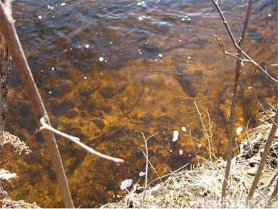 river bottom
