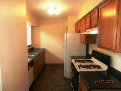 1918 Tawny Ct, Joliet, IL 60435 - photo 7