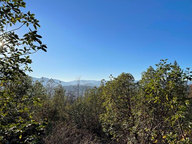 IMG-1816
