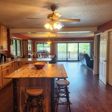 11973 N Lake St, Bitely, MI 49309 - photo 6