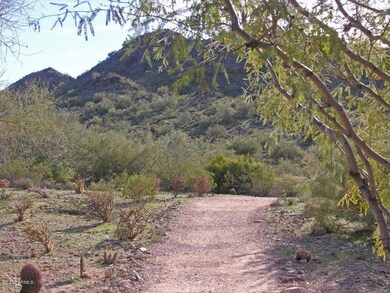 Hiking trails