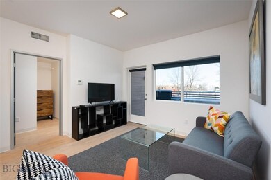 718 W Babcock St unit 204, Bozeman, MT 59715 - photo 2