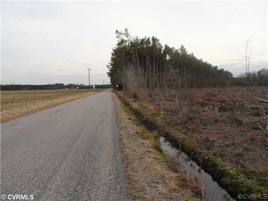 12.67 acres Butler Branch Rd, Dinwiddie, VA 23805 - photo 2