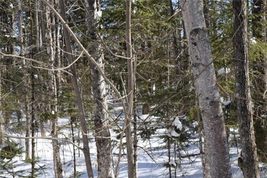 Maine Land for Sale in...