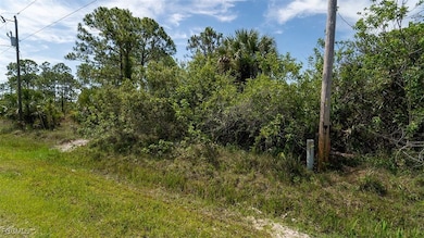 2409 62nd Ave NE, Rural Estates, FL 34120 - photo 5