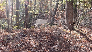 00 Lytle Mountain Rd, Marion, NC 28752 - photo 2