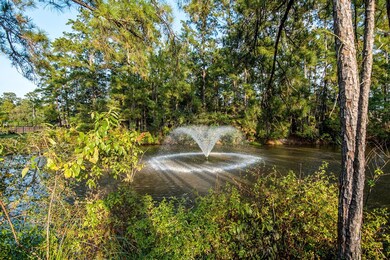 31274 Shady Arbor Ln, Spring, TX 77386 - photo 4