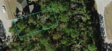 Lot 81 Dustin St, Crawfordville, FL 32327 - photo 3