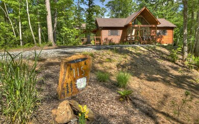 115 Brighton Way, Mineral Bluff, GA 30559 - photo 2