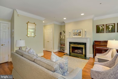 42 Wolfe St unit A, Alexandria, VA 22314 - photo 3