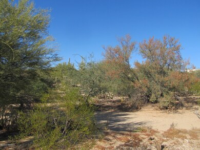 old spanish trail 003