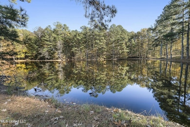 1766 Peyton Rd, Coldwater, MS 38618 - photo 2