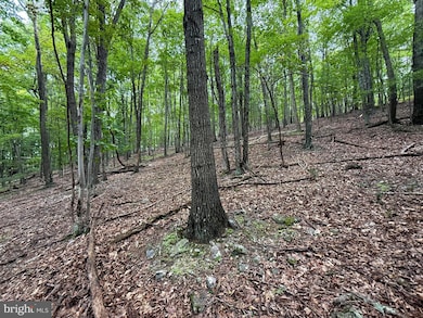 Lot 18B Wits End, Mathias, WV 26812 - photo 4