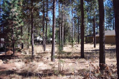 57777 Ribes Ln, Sunriver, OR 97707 - photo 7