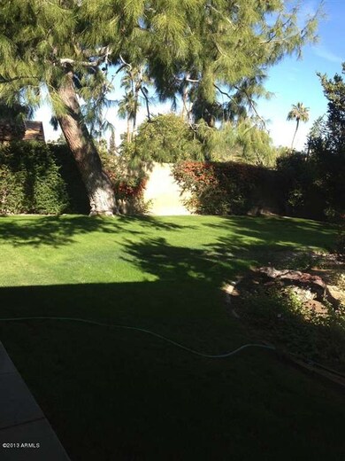 35th St Backyard Grass