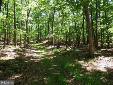 Etzler Map 56 Parcel Etzler Rd, Frederick, MD 21702 - photo 6