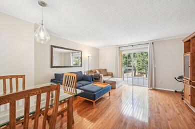 Gleaming Wood Flooring