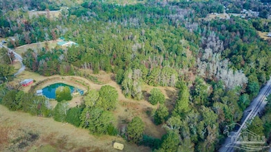 296 Salters Lake Rd, Century, FL 32535 - photo 4