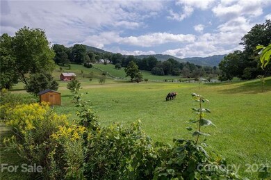 Adjacent neighbor's property and horses