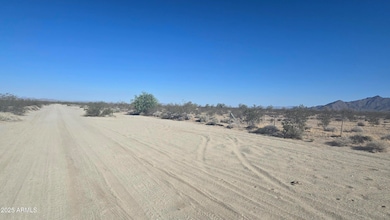 115XX W Riggs Rd, Buckeye, AZ 85326 - photo 6