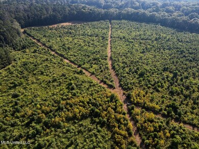 5073 Rollinson Rd, Liberty, MS 39645 - photo 4