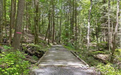 Lot 547 Wilderness Way, Dunlap, TN 37327 - photo 7