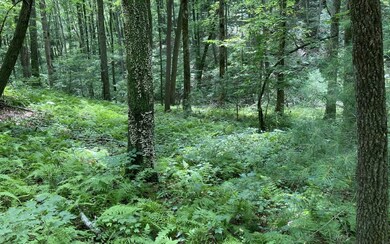 000 Flagpole Rd, Ellijay, GA 30540 - photo 7