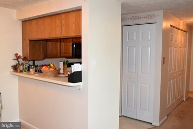 817 Stratford Way unit H, Frederick, MD 21701 - photo 5