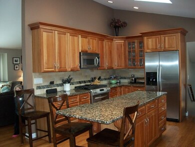 481 E Adams St, Elmhurst, IL 60126 - photo 4