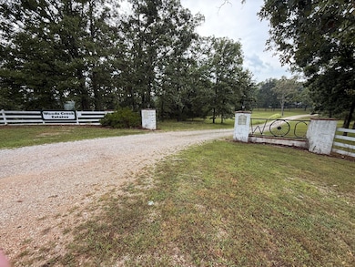 Private Road 2532, Mountain View, MO 65548 - photo 3