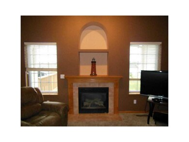Fireplace.