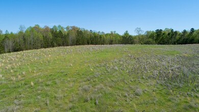 24512 Highway 58, Baskerville, VA 23915 - photo 7