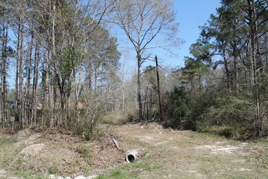 367 Hopkins Dr, Moncks Corner, SC 29461 - photo 4